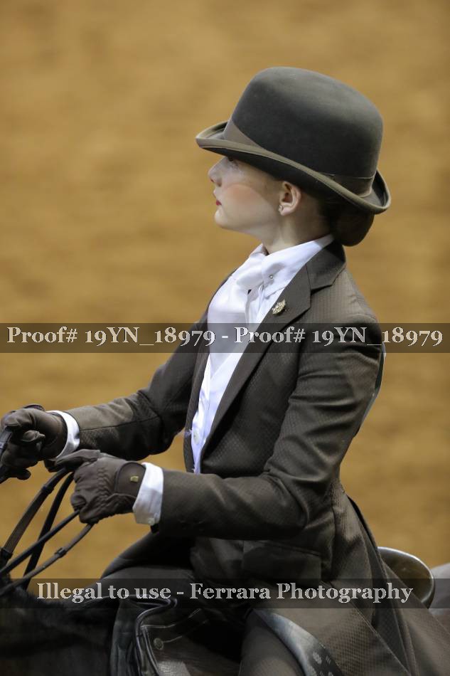 Proof 19YN_18979