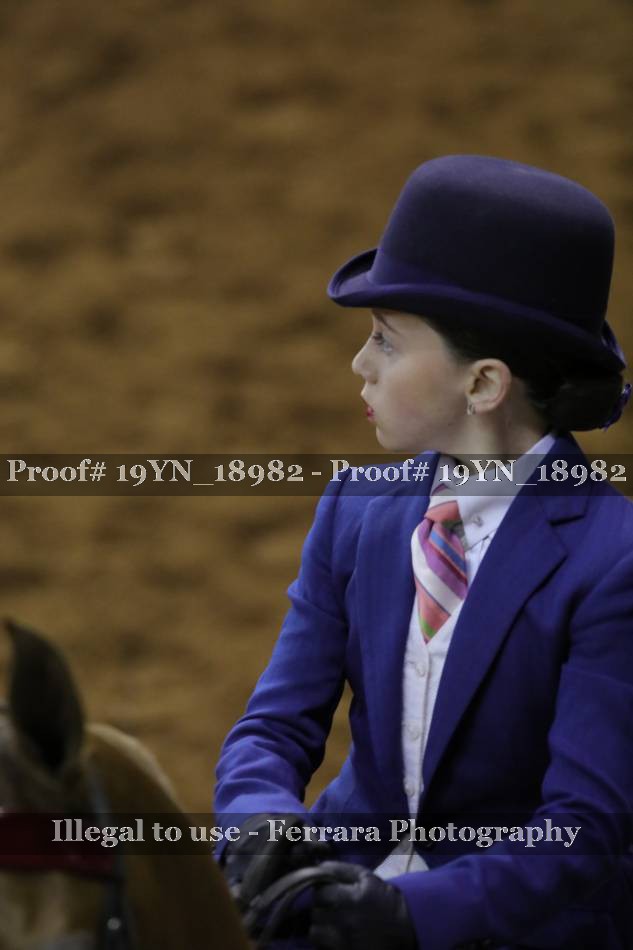 Proof 19YN_18982