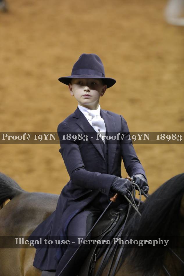Proof 19YN_18983