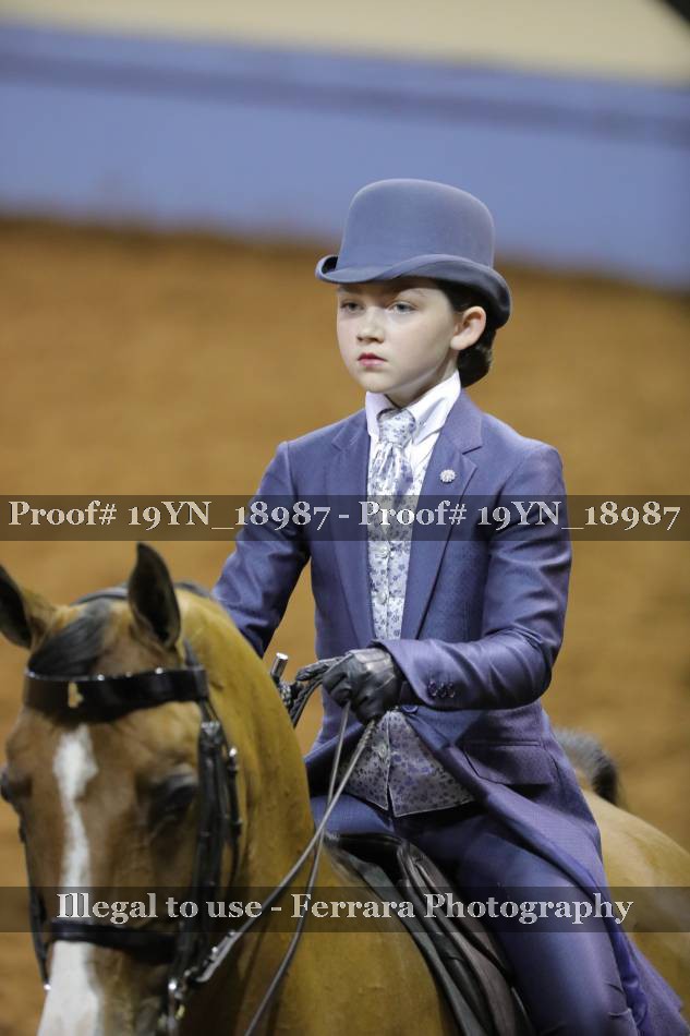 Proof 19YN_18987