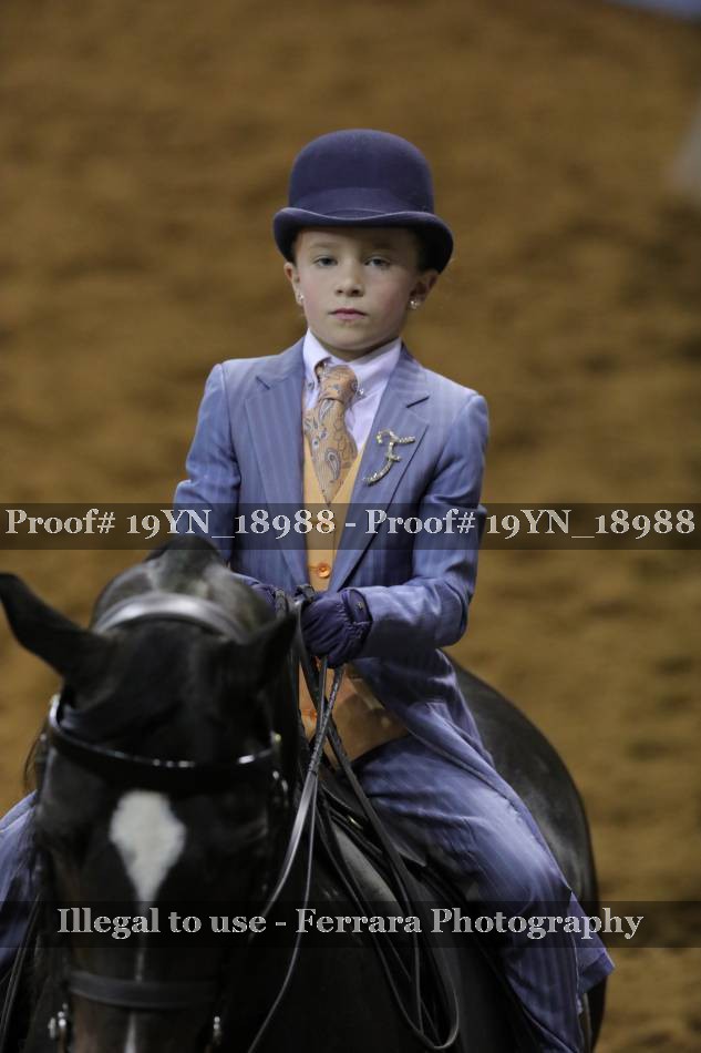 Proof 19YN_18988