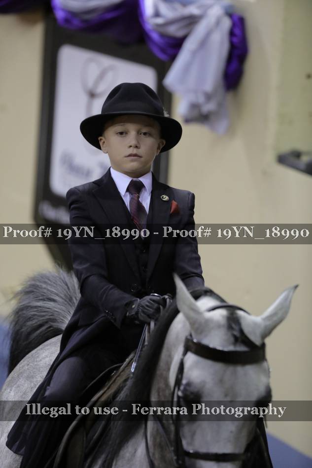 Proof 19YN_18990