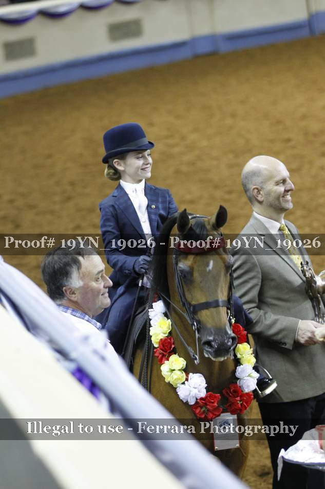 Proof 19YN_19026