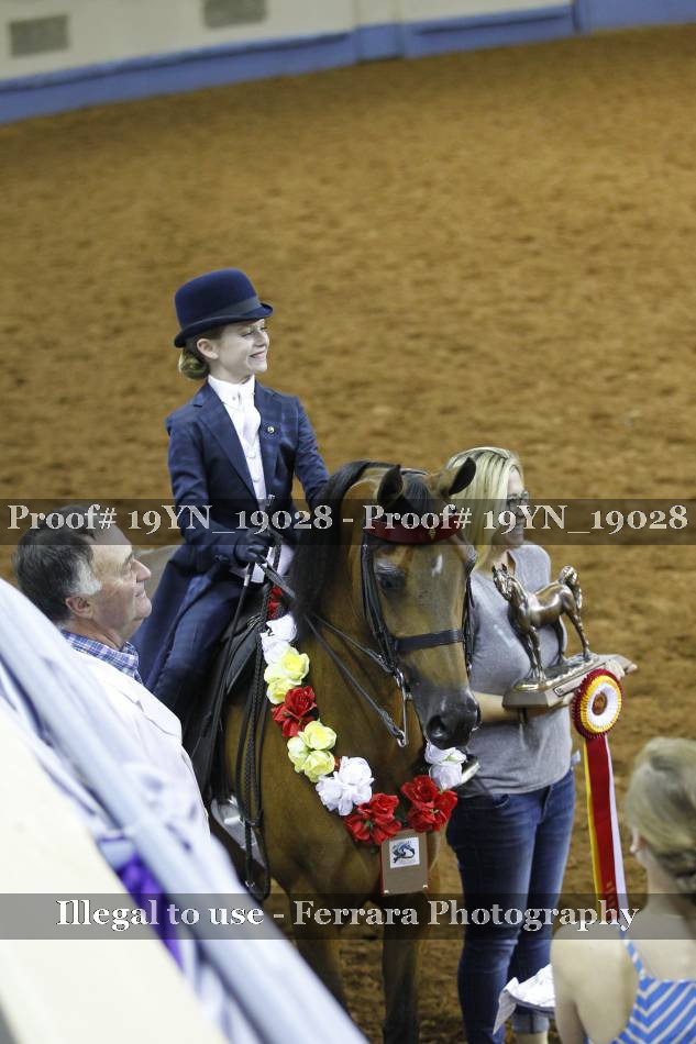 Proof 19YN_19028