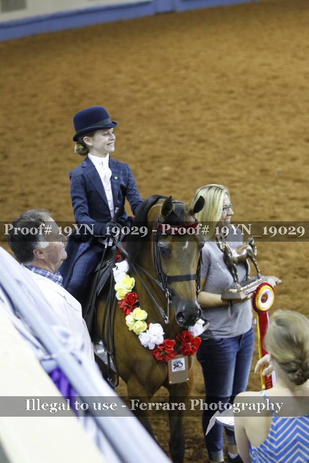 Proof 19YN_19029