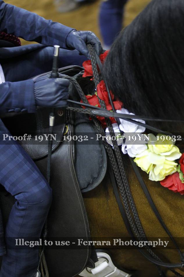 Proof 19YN_19032