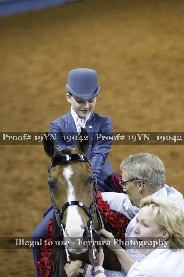 Proof 19YN_19042