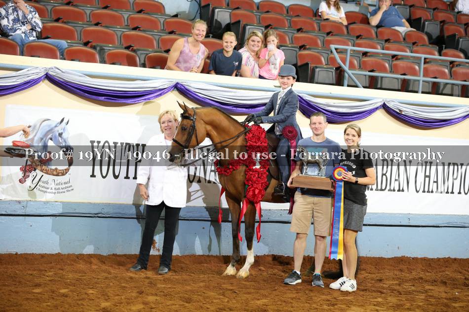 Proof 19YN_19046