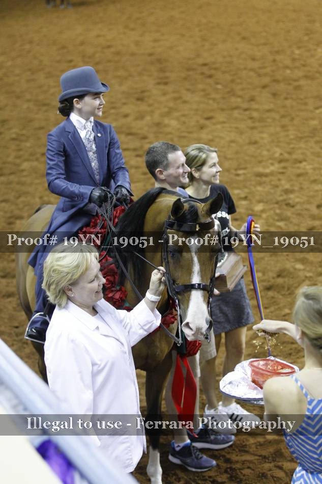 Proof 19YN_19051