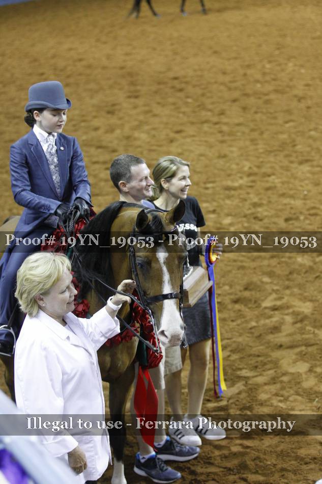 Proof 19YN_19053