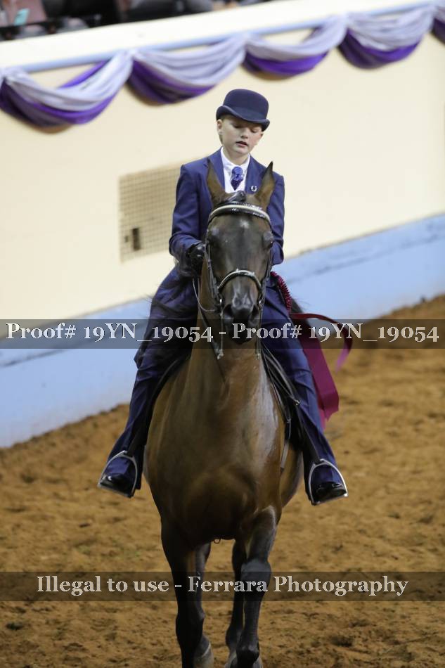 Proof 19YN_19054