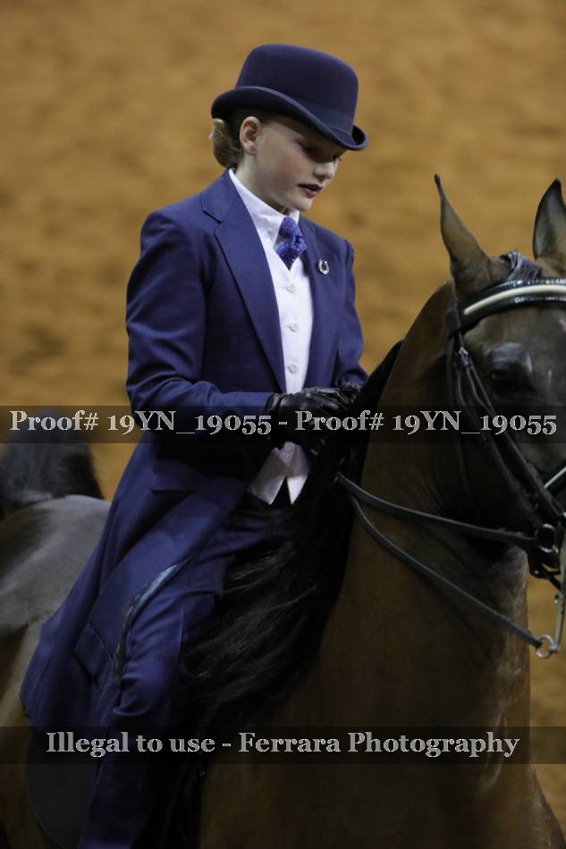 Proof 19YN_19055