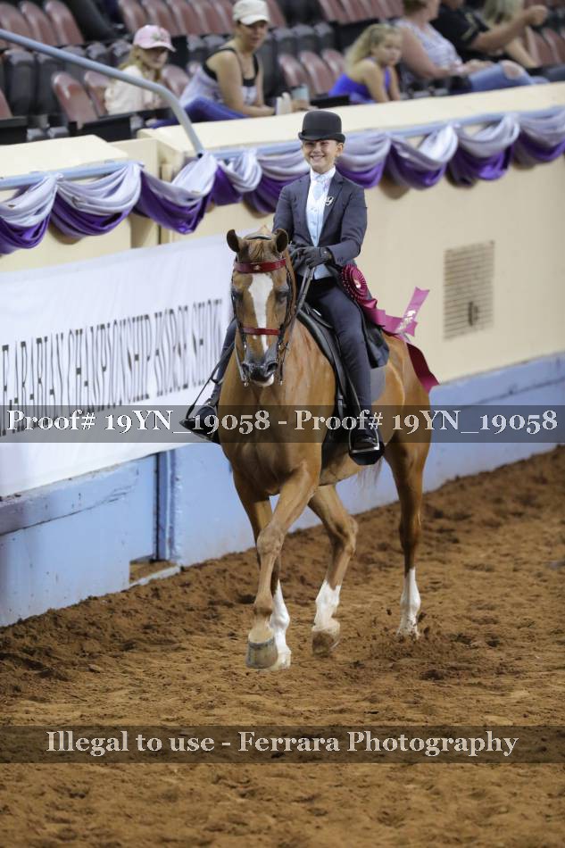 Proof 19YN_19058