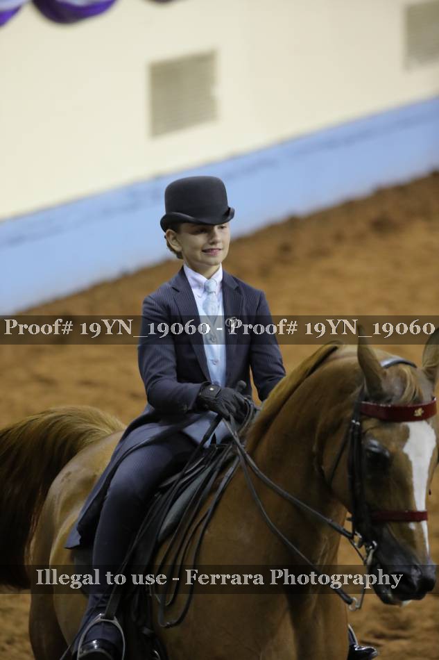 Proof 19YN_19060