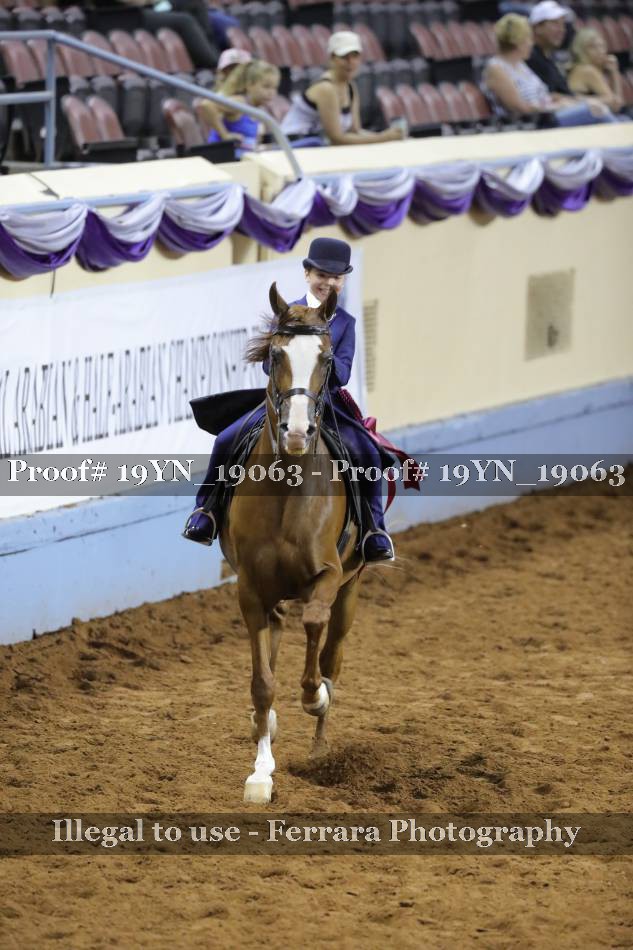 Proof 19YN_19063