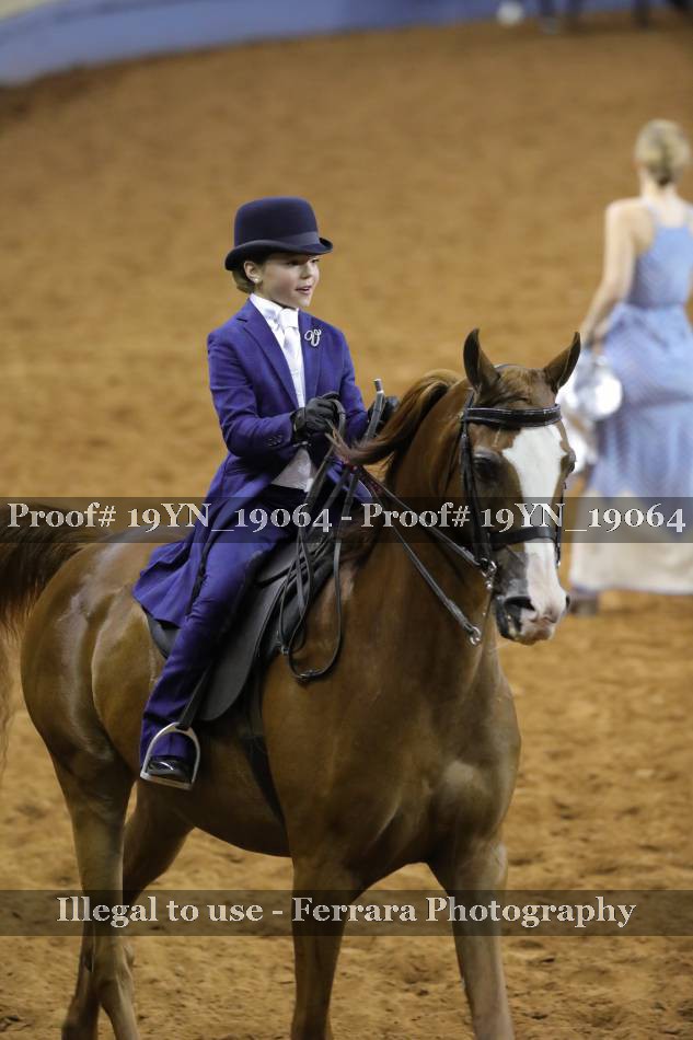 Proof 19YN_19064
