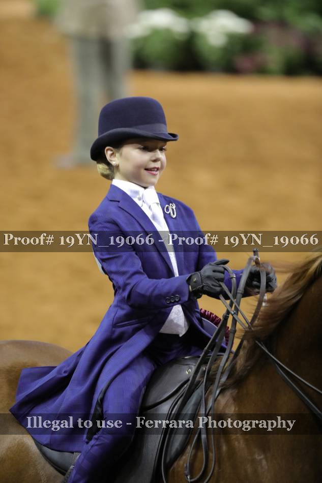 Proof 19YN_19066