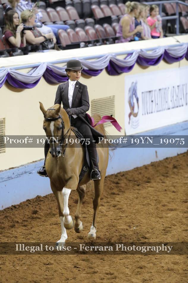 Proof 19YN_19075