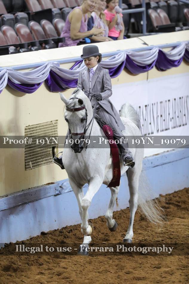 Proof 19YN_19079