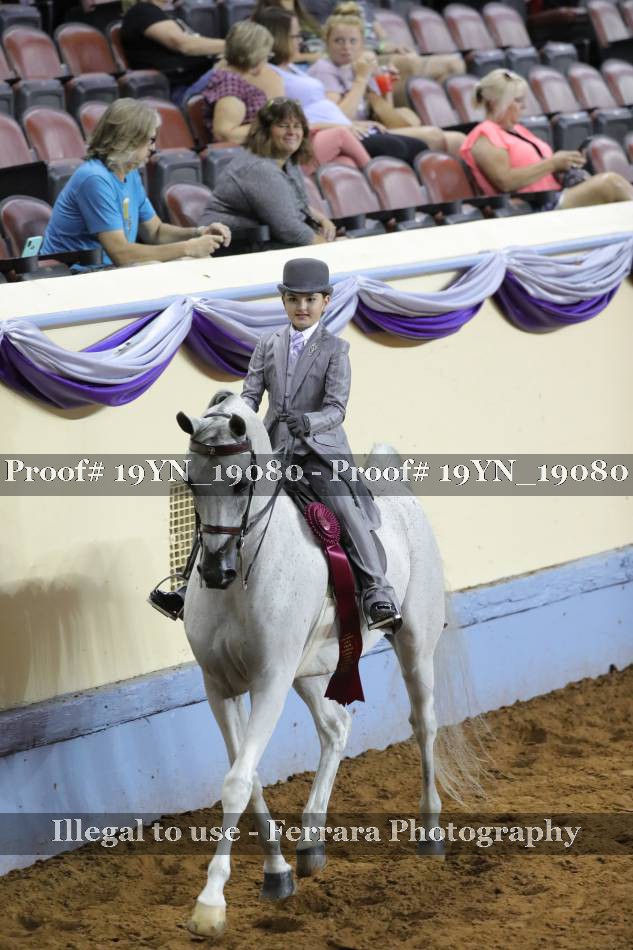 Proof 19YN_19080