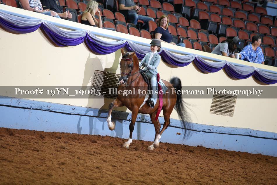 Proof 19YN_19085