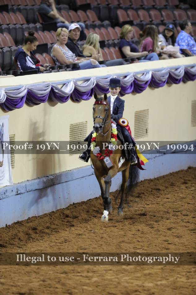 Proof 19YN_19094