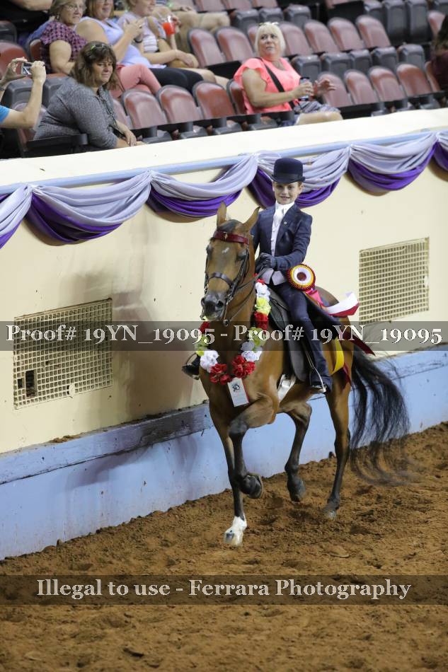 Proof 19YN_19095