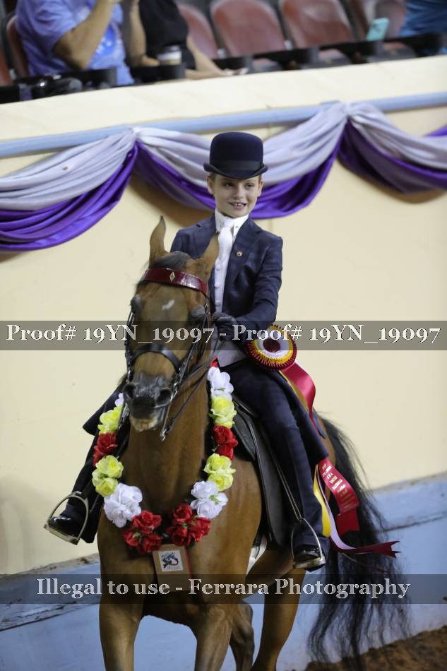Proof 19YN_19097