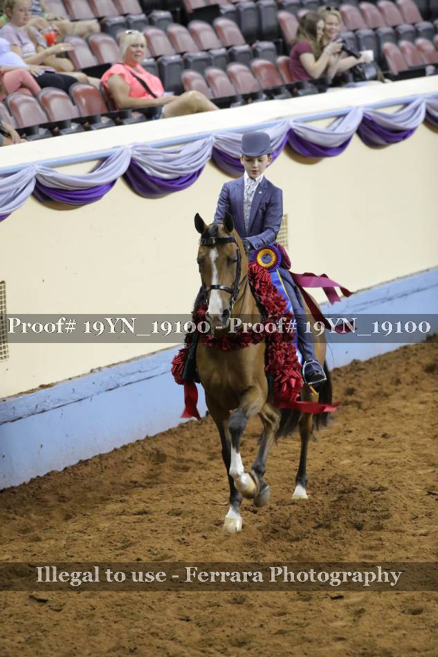 Proof 19YN_19100