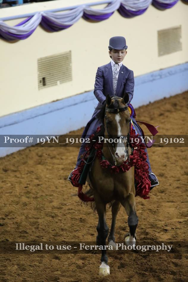 Proof 19YN_19102