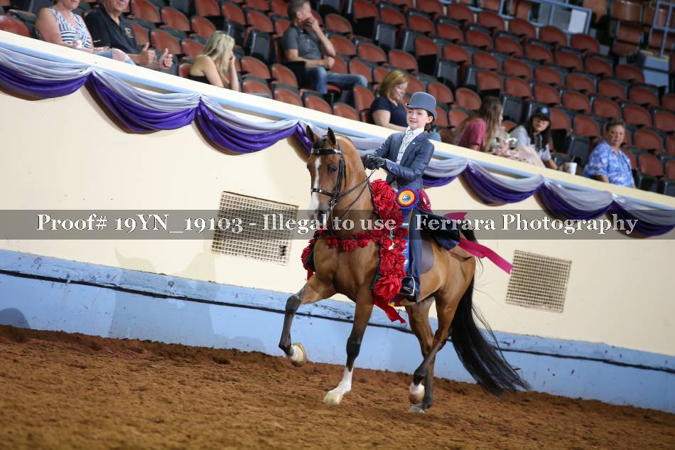 Proof 19YN_19103