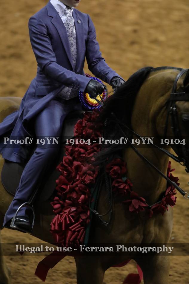 Proof 19YN_19104