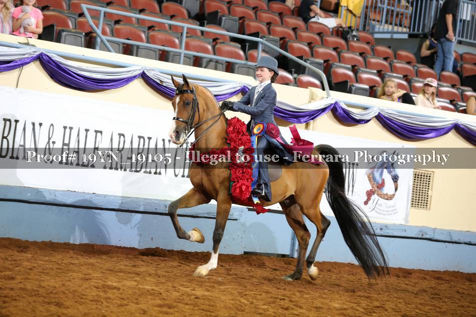 Proof 19YN_19105
