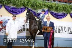 19YN_13684 proof