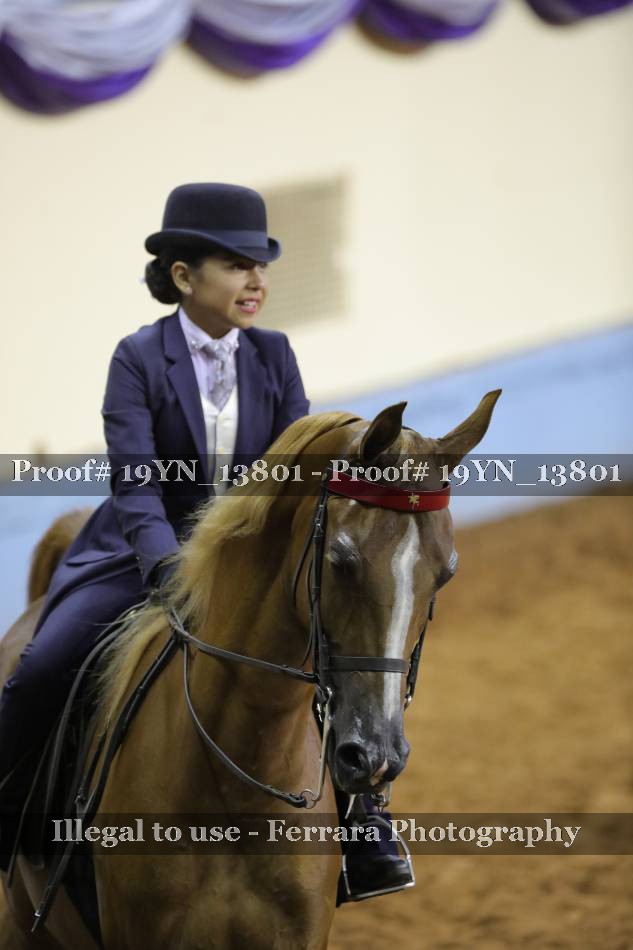 Proof 19YN_13801
