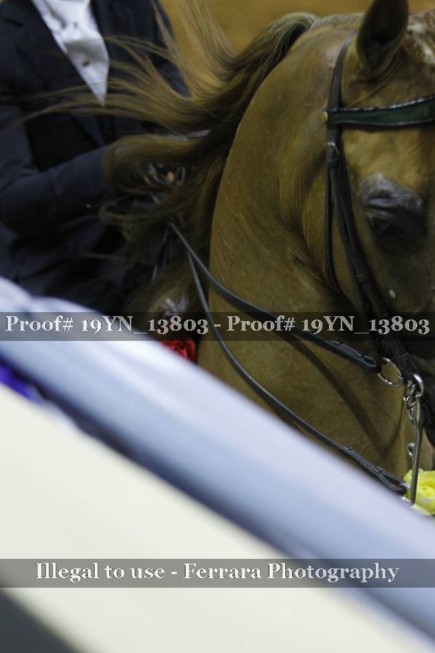 Proof 19YN_13803