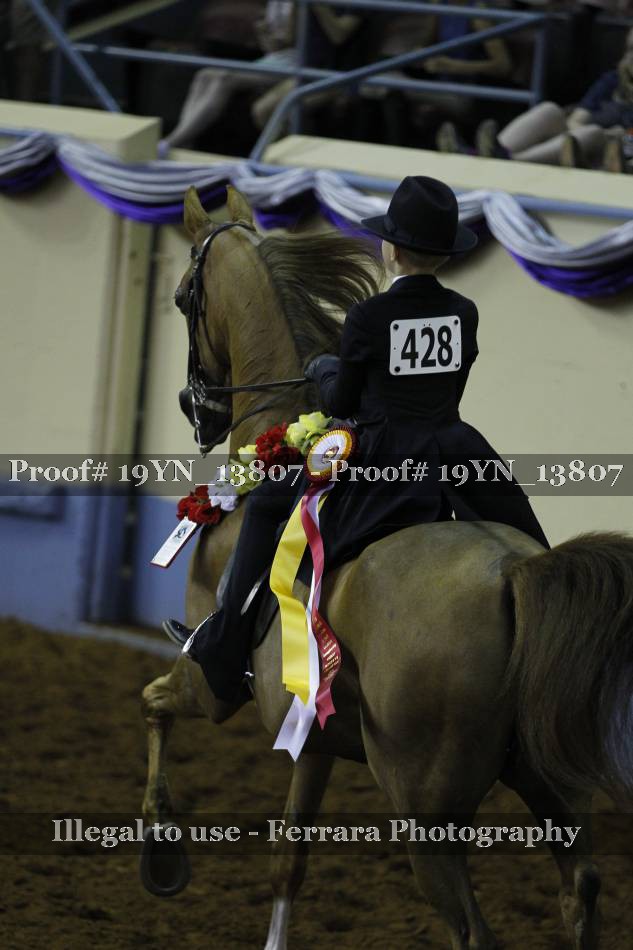 Proof 19YN_13807