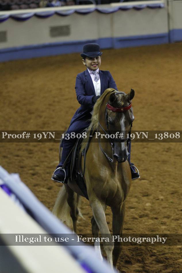 Proof 19YN_13808