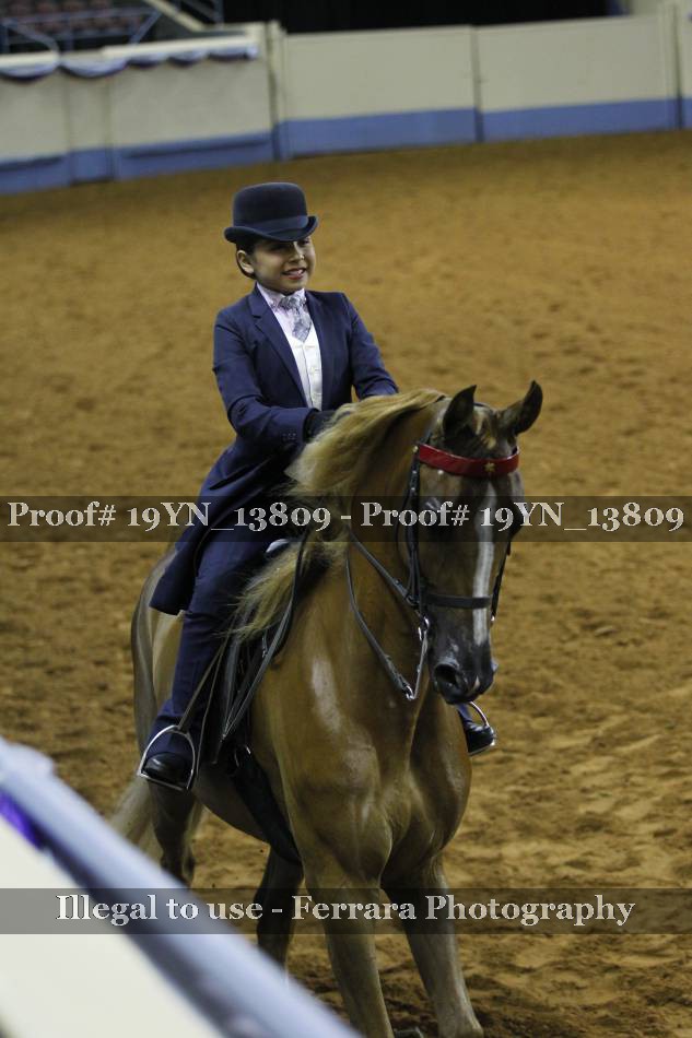 Proof 19YN_13809