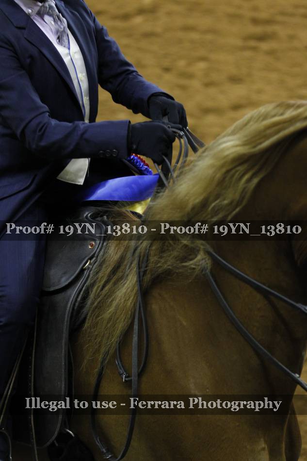 Proof 19YN_13810