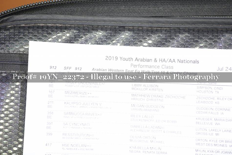 Proof 19YN_22372