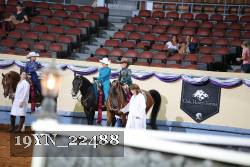 19YN_22488 proof
