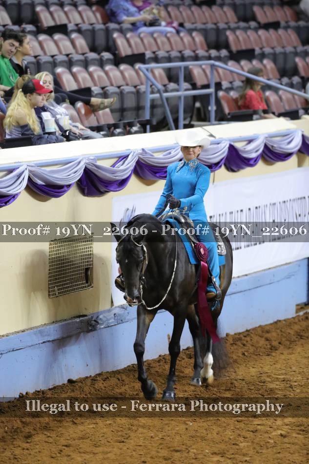 Proof 19YN_22606