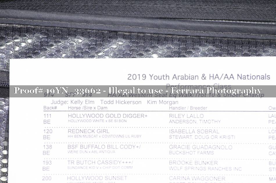 Proof 19YN_33662