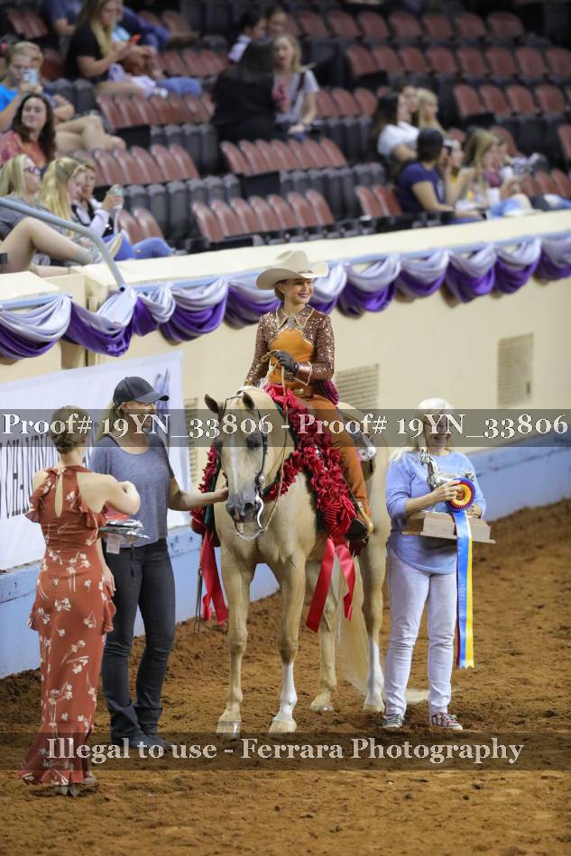 Proof 19YN_33806