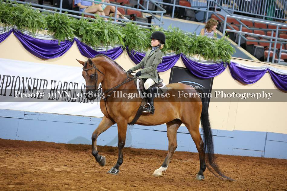 Proof 19YN_07803