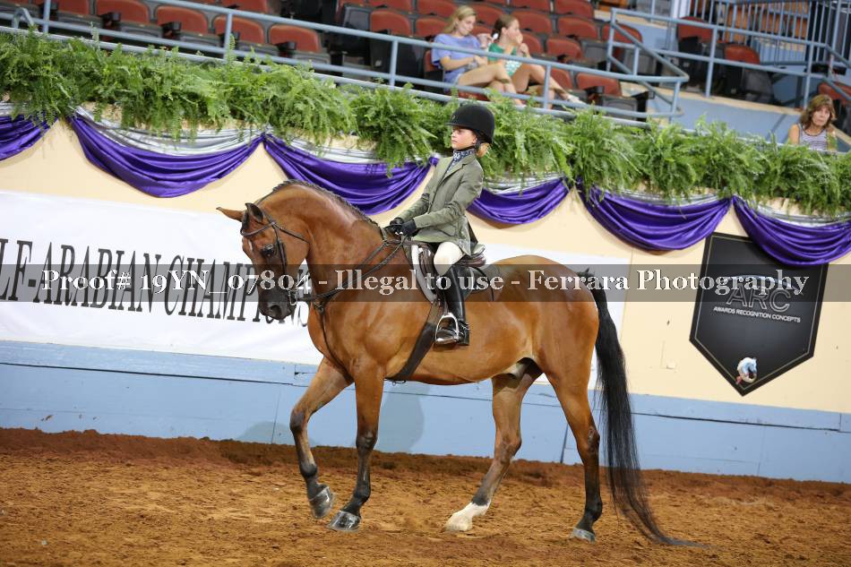 Proof 19YN_07804