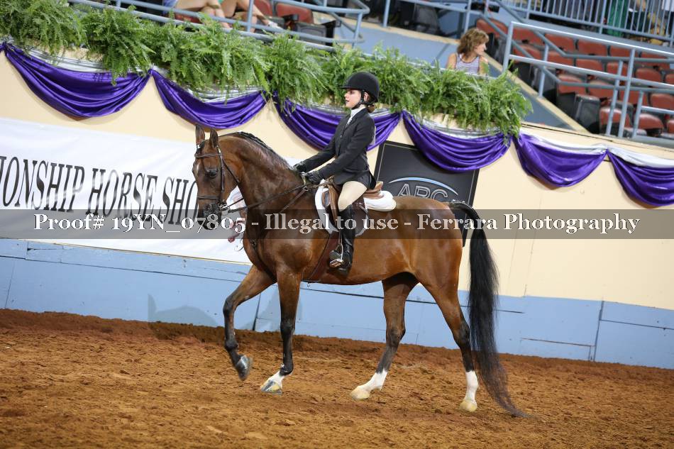 Proof 19YN_07805