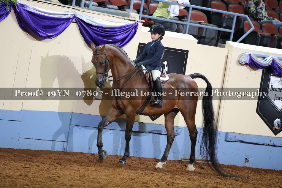 Proof 19YN_07807