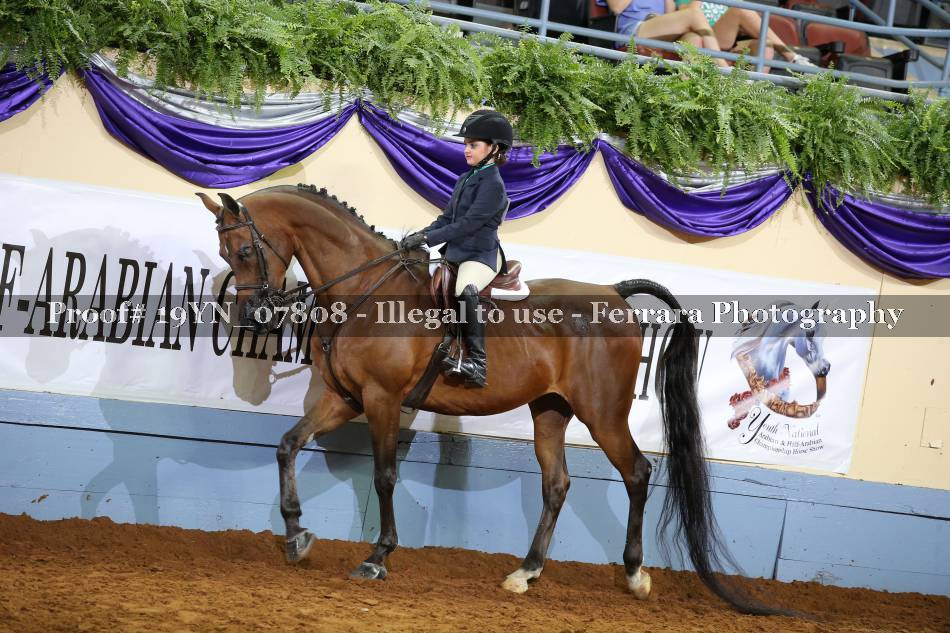 Proof 19YN_07808